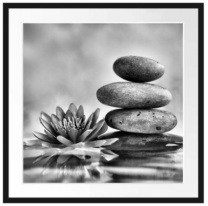 Seerosenblüte mit Zen Steinen Passepartout Quadratisch 70x70
