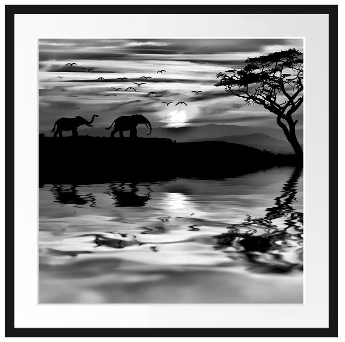 Elefanten in Afrikanischer Steppe Passepartout Quadratisch 70x70