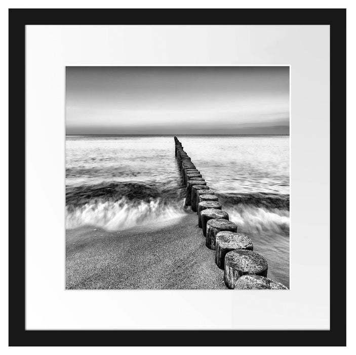 Baumstümpfe die ins Meer führen Passepartout Quadratisch 40x40