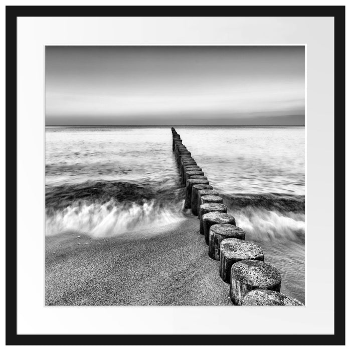 Baumstümpfe die ins Meer führen Passepartout Quadratisch 55x55