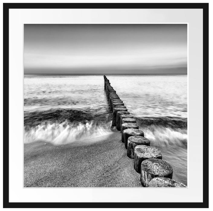 Baumstümpfe die ins Meer führen Passepartout Quadratisch 70x70