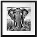 Imposanter Elefant Passepartout Quadratisch 40x40