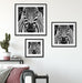 Zebra Porträt Quadratisch Passepartout Wohnzimmer