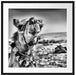 Lustiges Kamel in Wüste Passepartout Quadratisch 70x70