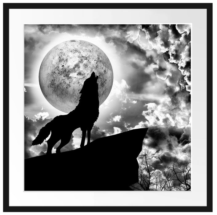 Wolf heult den Mond an Passepartout Quadratisch 70x70