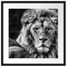 schönes Löwenpaar Passepartout Quadratisch 55x55