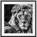 schönes Löwenpaar Passepartout Quadratisch 70x70