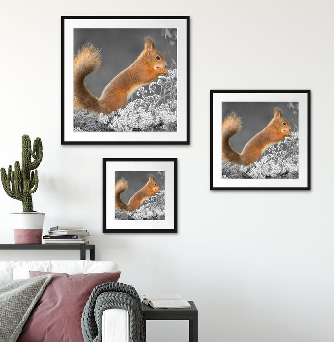 Nagendes Eichhörnchen im Moos Quadratisch Passepartout Wohnzimmer