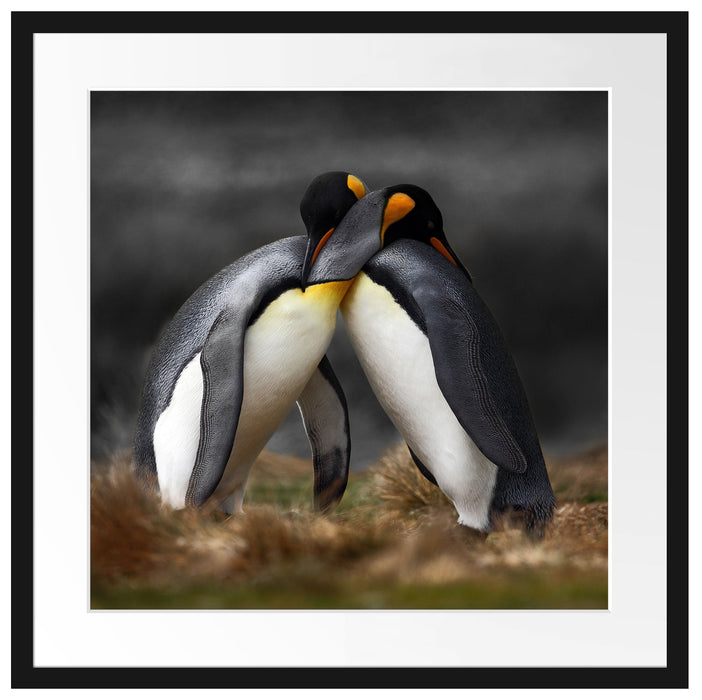Pinguine in der Antarktis Passepartout Quadratisch 55x55