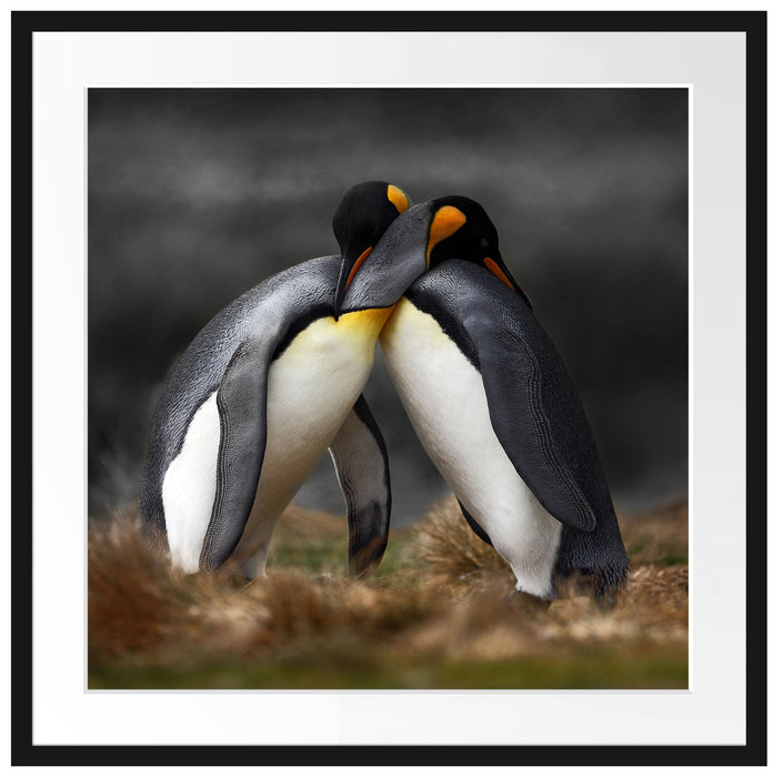Pinguine in der Antarktis Passepartout Quadratisch 70x70