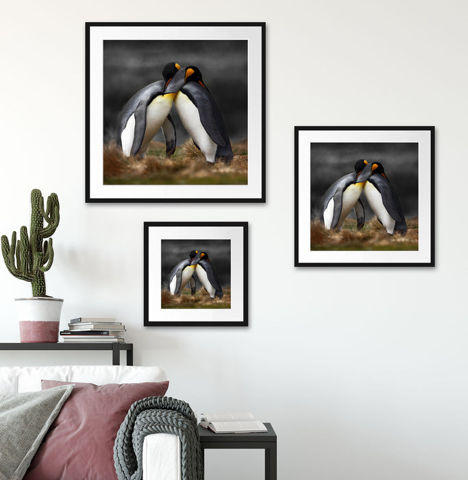 Pinguine in der Antarktis Quadratisch Passepartout Wohnzimmer
