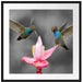 Kolibris in den Tropen Passepartout Quadratisch 70x70