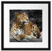 Wunderschöner Leopard in der Natur Passepartout Quadratisch 40x40