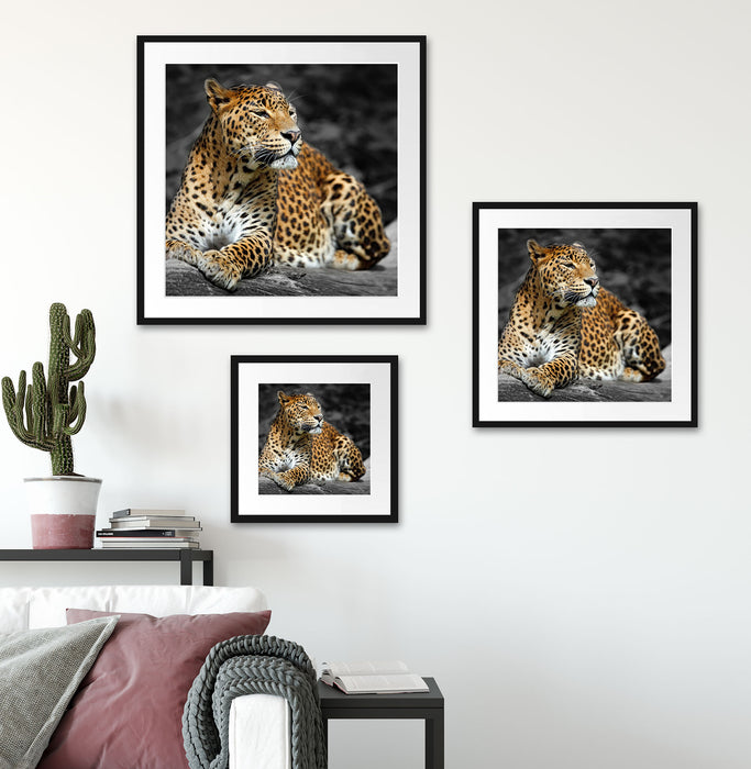 Wunderschöner Leopard in der Natur Quadratisch Passepartout Wohnzimmer