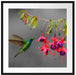 Kolibri trinkt vom Blütennektar Passepartout Quadratisch 70x70