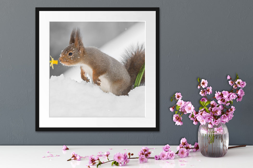 Eichhörnchen im Schnee Quadratisch Passepartout Dekovorschlag