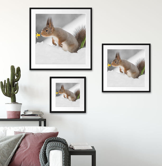 Eichhörnchen im Schnee Quadratisch Passepartout Wohnzimmer