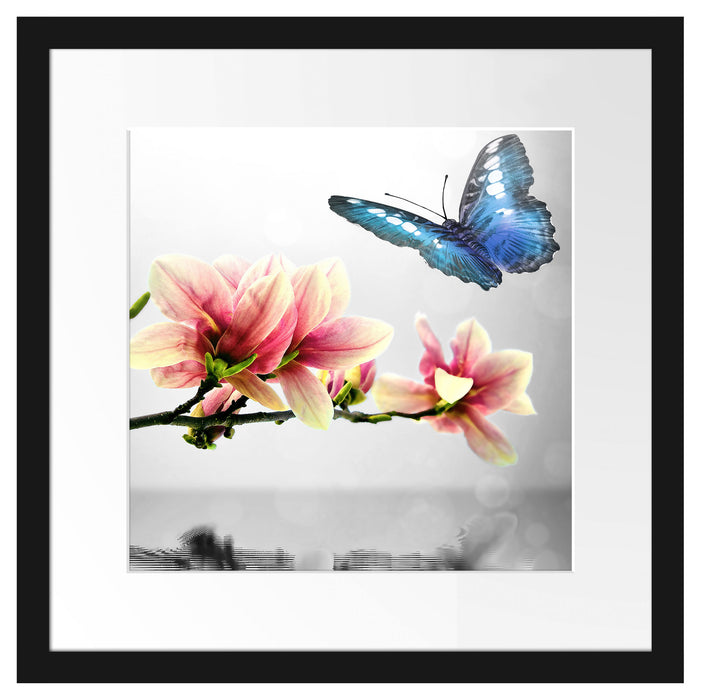 Schmetterling mit Magnolien-Blüte Passepartout Quadratisch 40x40