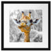 Giraffe in der Natur Passepartout Quadratisch 40x40