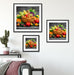 Frisches Obst und Gemüse im Korb Quadratisch Passepartout Wohnzimmer