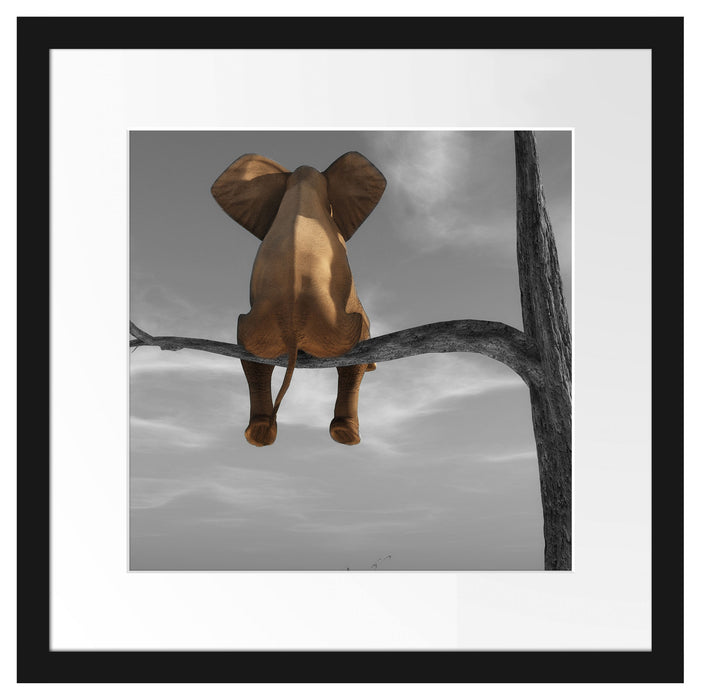 Elefant auf einem Ast in der Wüste Passepartout Quadratisch 40x40