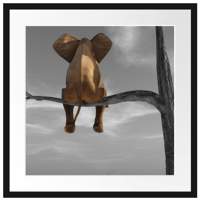 Elefant auf einem Ast in der Wüste Passepartout Quadratisch 55x55