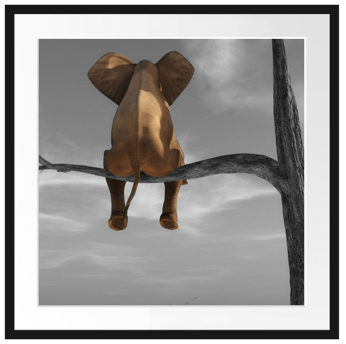 Elefant auf einem Ast in der Wüste Passepartout Quadratisch 70x70