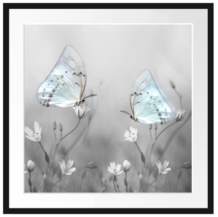 Schmetterling auf kleinen Blumen Passepartout Quadratisch 70x70