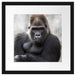 gelangweilter Gorilla Passepartout Quadratisch 40x40