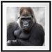 gelangweilter Gorilla Passepartout Quadratisch 55x55