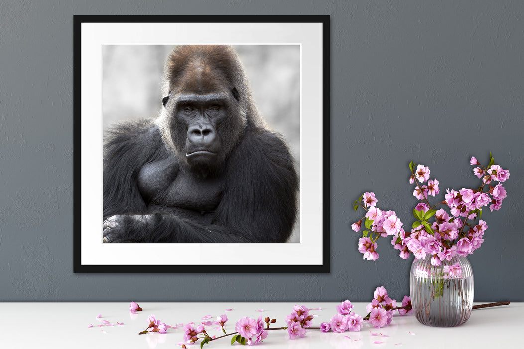 gelangweilter Gorilla Quadratisch Passepartout Dekovorschlag