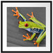 kleiner grüner Frosch auf Blatt Passepartout Quadratisch 55x55