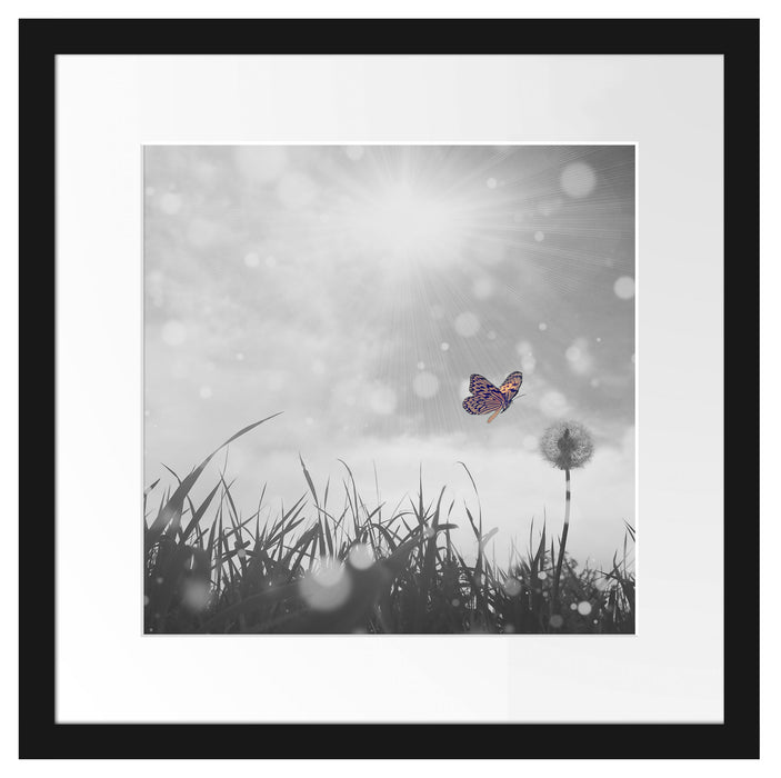 Schmetterling fliegt zu Pusteblume Passepartout Quadratisch 40x40