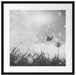 Schmetterling fliegt zu Pusteblume Passepartout Quadratisch 55x55