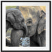 Elefantenmutter mit Kalb Passepartout Quadratisch 70x70