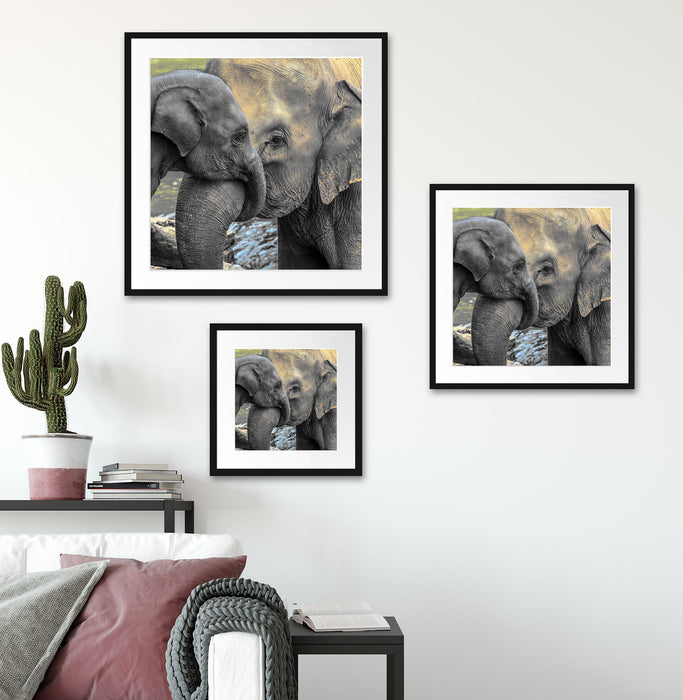 Elefantenmutter mit Kalb Quadratisch Passepartout Wohnzimmer