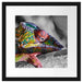 Chamäleon aus Madagaskar Passepartout Quadratisch 40x40