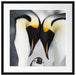 Kaiserpiguinpärchen Liebe Passepartout Quadratisch 55x55