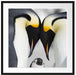 Kaiserpiguinpärchen Liebe Passepartout Quadratisch 70x70