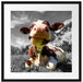 Kuh im Karwendelgebirge Passepartout Quadratisch 55x55