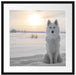 Weißer Wolf im Schnee Passepartout Quadratisch 55x55