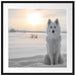 Weißer Wolf im Schnee Passepartout Quadratisch 70x70