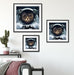 Astronautenkatze im Weltraum Passepartout Wohnzimmer Quadratisch
