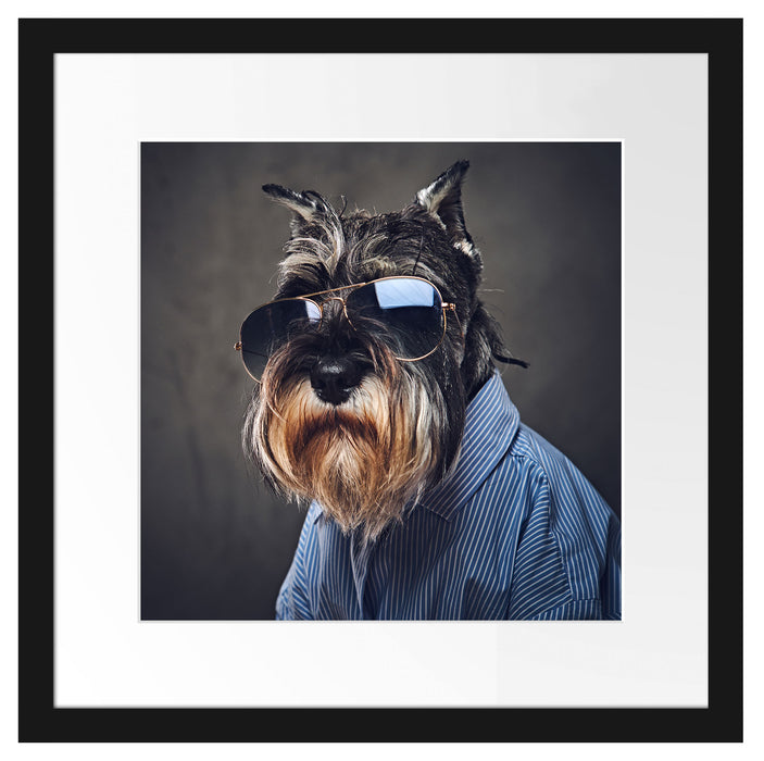 Lustiger Hund mit Hemd und Sonnenbrille Passepartout Quadratisch 40