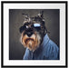Lustiger Hund mit Hemd und Sonnenbrille Passepartout Quadratisch 55