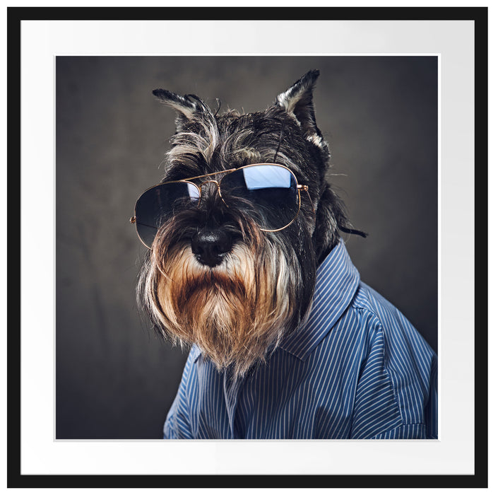 Lustiger Hund mit Hemd und Sonnenbrille Passepartout Quadratisch 70