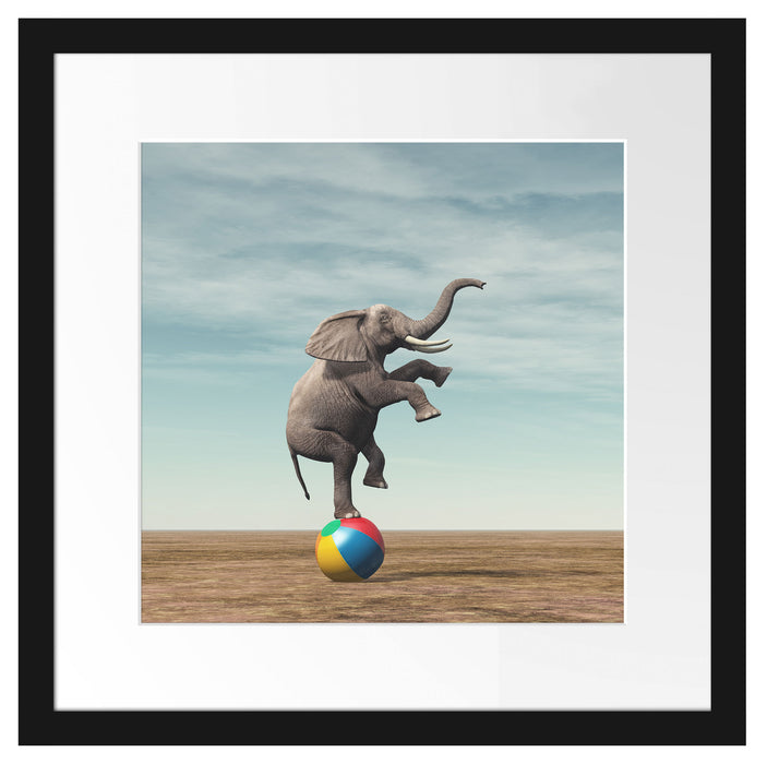 Elefant in der Wüste balanciert auf Ball Passepartout Quadratisch 40