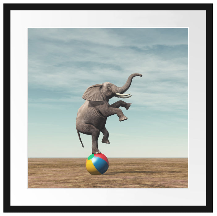 Elefant in der Wüste balanciert auf Ball Passepartout Quadratisch 55