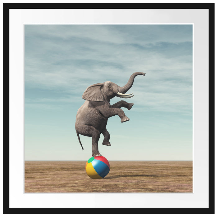 Elefant in der Wüste balanciert auf Ball Passepartout Quadratisch 70