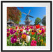 Holländisches Tulpenmeer vor Windmühle Passepartout Quadratisch 55
